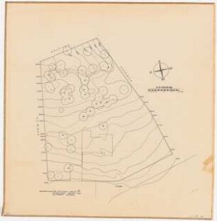 Druckvorlagen / Garten Dr. Meyer-Jagenberg, Düsseldorf: Lageplan des ursprünglichen Geländezustandes mit Höhenlinien und altem Baumbestand vom Eigenheimgarten H. in Düsseldorf mit 5750 qm (Garten eines kunstsinnigen Industriellen), Maßstabsleiste