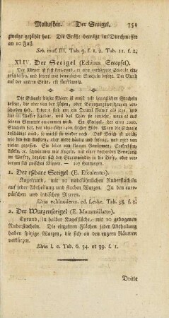 XLIV. Der Seeigel