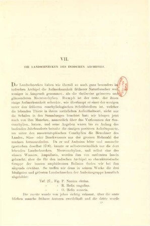 VII. Die Landschnecken des Indischen Archipels