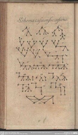 Schema casuum successionis