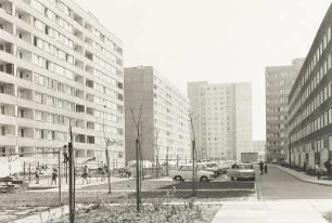 Cranach-Straße : Dresden, Johannstadt, Parkplatz für Anwohner