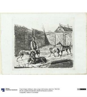 Hofraum, darin Junge mit Hunden