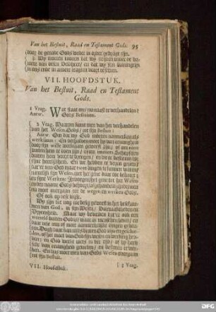 VII. Hoofdstuk. Van het Besfluit, Raad en Testament Gods.