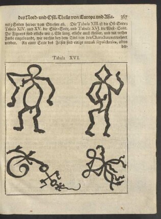 Tabula XVI.