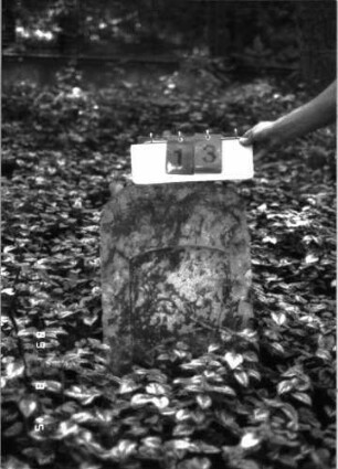 Grabstein 13 (Index: 100105628) Material: Muschelkalk Zustand: Schriftplatte fehlt Maße HxBxT: 72x44x21 cm Beschreibung: Stele, Segmentbogenabschluß, Schriftfeld eingetieft: Grabstein 13