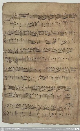 [2.] Courante