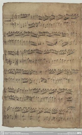 [2.] Courante