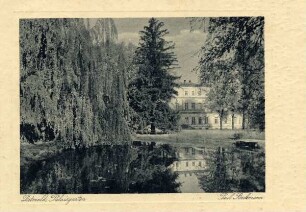 Palaisgarten, s/w. Detmold. Postkarte
