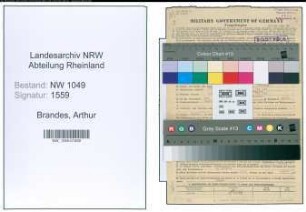 Entnazifizierung Arthur Brandes , geb. 05.07.1894 (Ingenieur)