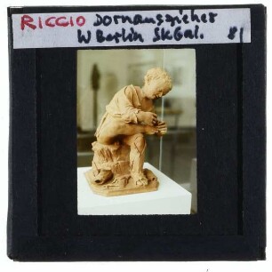 Briosco gen. Il Riccio, Dornenzieher