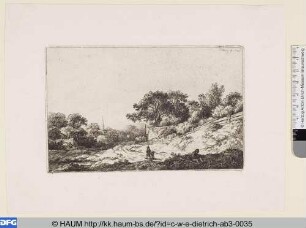 Der Weg am Bretterzaun