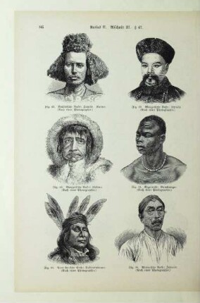 Mongolische Rasse: Chinese