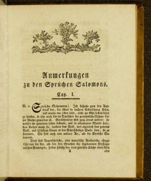 Anmerkungen zu den Sprüchen Salomons.