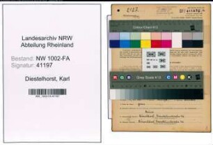 Entnazifizierung Karl Diestelhorst, geb. 02.09.1888 (Kaufmann)