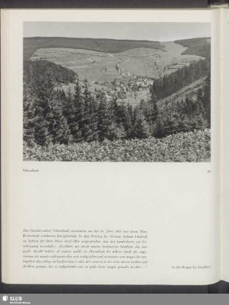 Fehrenbach