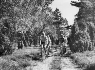 Eine Familie befindet sich auf Fahrradtour in der Lüneburger Heide