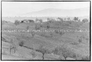 Hügelige Landschaft (Altersgruppe 18-21)