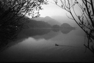 Kochel am See: Abendstimmung am Kochel See mit Herzogstand