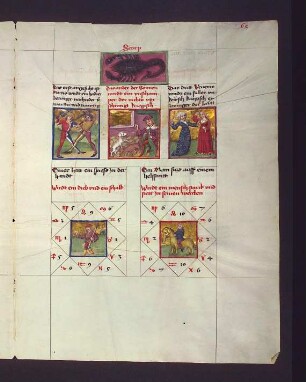 (1) Sternbild Skorpion (2) drei Dekane: 1. Mars: Haderer, Betrüger; 2. Sonne: schamloser, kriegerischer, redseliger Mensch; 3. Venus: Völler, unkeuscher, kriegerischer Mensch; (3) Gradbilder (Prognose): 1. Dieb und Schalk; 2. starker, stetiger Mensch