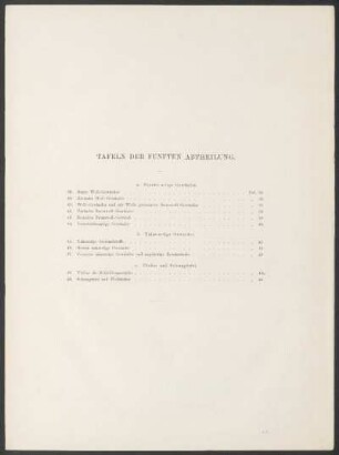 Tafeln der fünften Abtheilung.