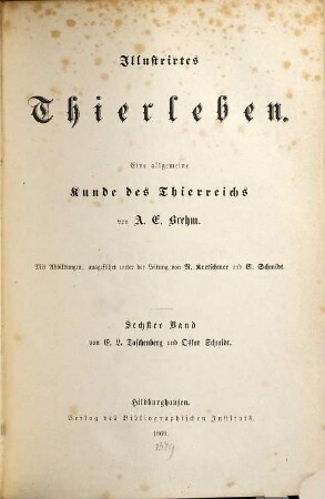 Illustrirtes Thierleben : eine allgemeine Kunde des Thierreichs, 6. Leben der Insekten, Tausendfüßler und Spinnenthiere