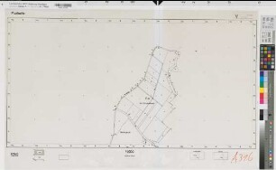 Ammeloe (Vreden), Flurbereinigung Ammeloe, Flur-(Rahmen-)karte 5269 Ammeloe Flur 89