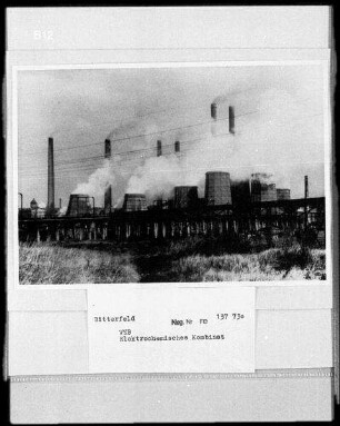 Elektrochemisches Kombinat