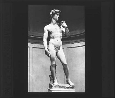 Florenz: David [von Michelangelo in der Galleria dell´Accademia]