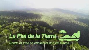 La piel de la Tierra - donde la vida se encuentra con las rocas