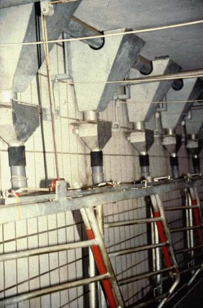Fotografie: Fütterungstechnik, Dosiereinrichtung, Melkstand, Kraftfutterautomat