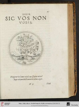 XXXVII. Sic vos non vobis