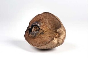 Kokosnuss, gespalten