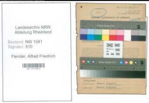 Entnazifizierung Alfred Friedrich Flender , geb. 05.05.1901 (Ingenieur)