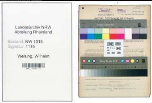 Entnazifizierung Wilhelm Welsing , geb. 30.10.1893 (Werkmeister)