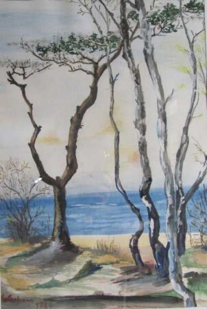 Bäume am Meer