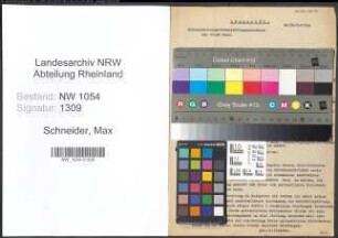 Entnazifizierung Max Schneider , geb. 23.12.1882 (Steuerinspektor)