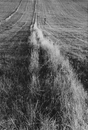 Čičmany. Akt-Pleinair 1980. Abgeerntetes Feld mit einer jungen Frau im Hintergrund