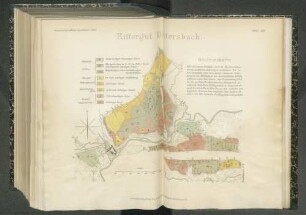 Tafel XXII. Rittergut Dittersbach. Gesteinskarte