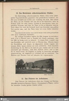 [Bauernhof mit Kühen im Vordergrund]