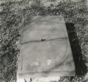 Görlitz. Alter Friedhof. Grabplatte für Herrmann Robert Kluge (Schneider?, gestorben 1820; Sandstein)