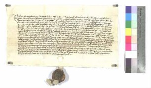 Westernachscher Bewilligungsbrief über Loslösung der Pfarrei Donaustetten von Erbach
