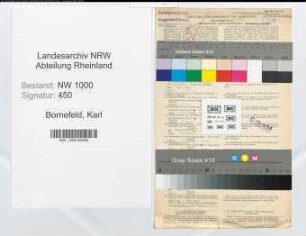 Entnazifizierung Karl Bornefeld, geb. 24.05.1920 (Kaufm.Angest.)