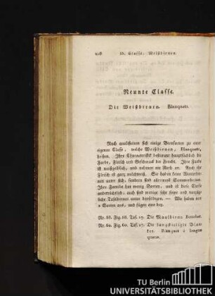Neunte Classe. Die Weißbirnen. Blanquets.