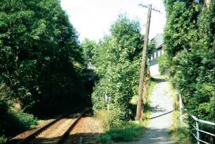 Bahndamm, der zwischen Bäumen verschwindet (alte Strecke Triptis-Marxgrün)