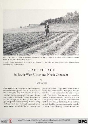 Spade tillage in south-west Ulster and north Connacht