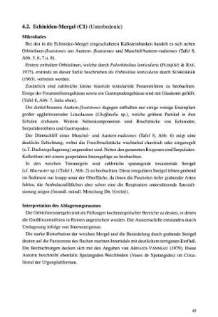 4.2 Echiniden-Mergel (C1) (Unterbedoule)