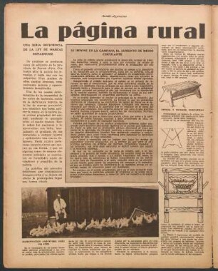 Alimentación carnivora para las aves