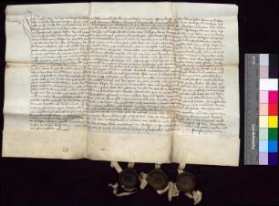 Nikolaus Bär (Beer), Bürger von Bautzen, schwört Bürgermeister und Rat von Bautzen Urfehde.