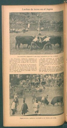 Luchas de toros en el Japón