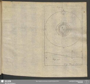 Fig. Phys. Tab. VII